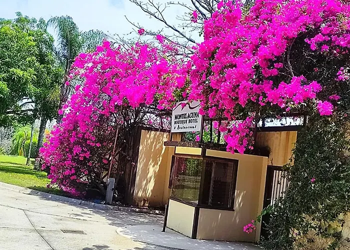 Montelaguna Boutique 3* Sámara